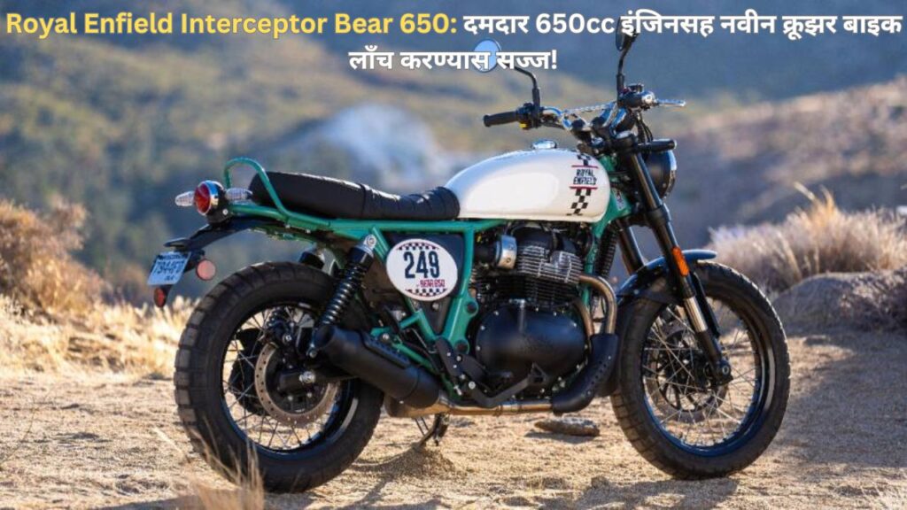 Interceptor Bear 650