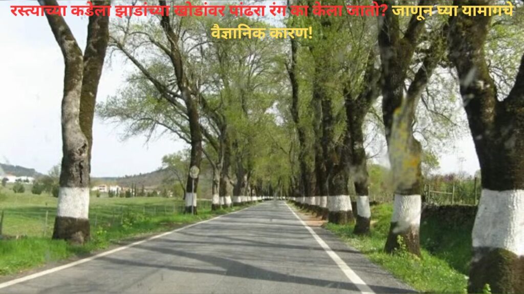 Traffic Safety with Tree Paint
